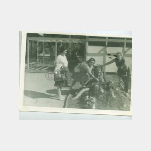 1970 Antalya Park Kadın Görünüş Fotoğraf