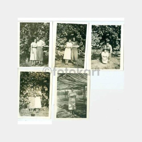 1938 Antalya Okaliptüs Fidanlığı 5 Adet Fotoğraf