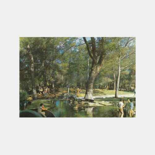 1981 Antalya Düzlerçamı Parkı Görünüş Kartpostal