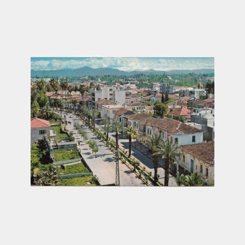 1975 Antalya Palmiyeli Cadde Görünüş Kartpostal