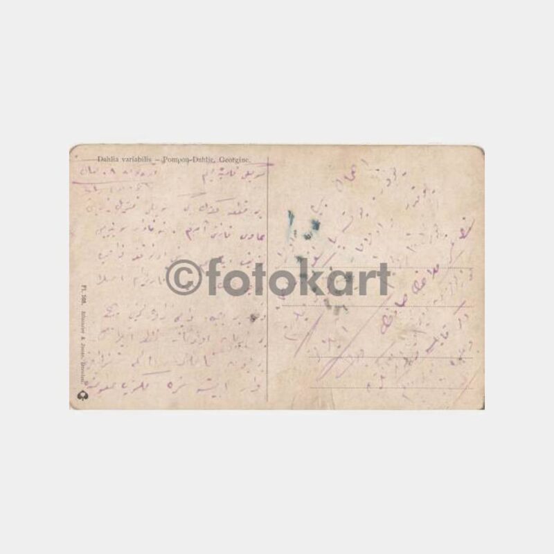 1920 Kartopu Çiçek Arkası Osmanlıca Yazılı Kartpostal - Görsel 2