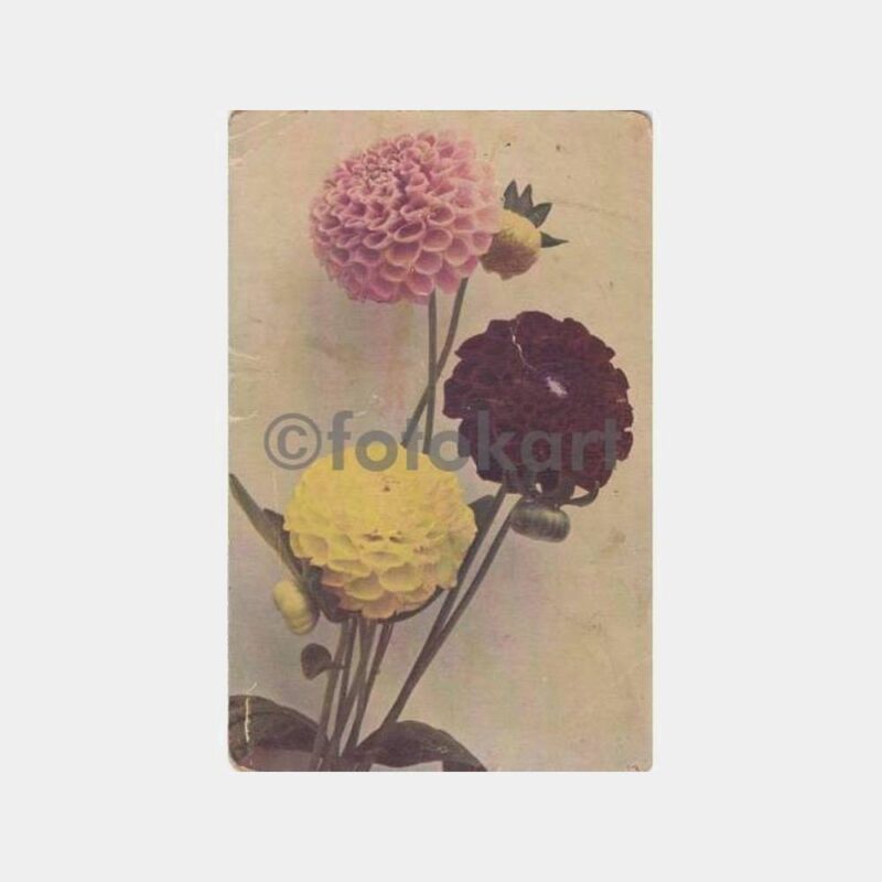 1920 Kartopu Çiçek Arkası Osmanlıca Yazılı Kartpostal