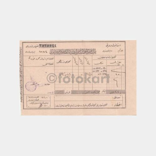 1925 Osmanlıca Vergi Makbuzu