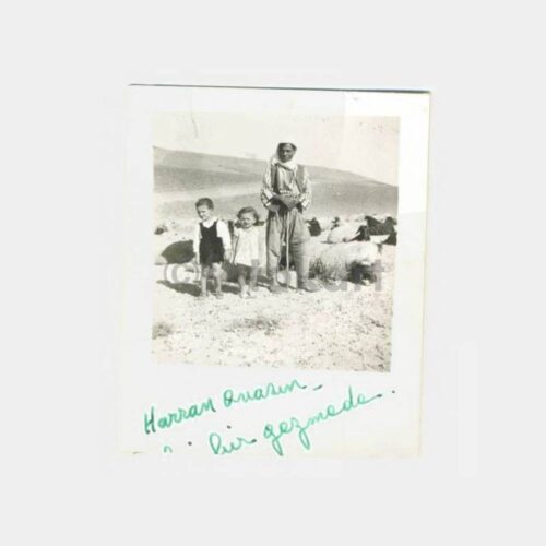 Urfa Harran Ovası Konulu Fotoğraf