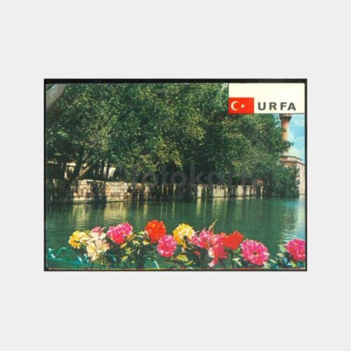 1974 Urfa Balıklı Göl Görünüş Kartpostal