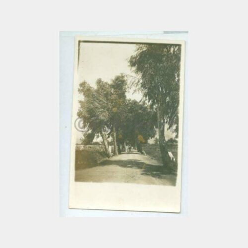 1920 Fethiye Park Görünüş Fotoğraf