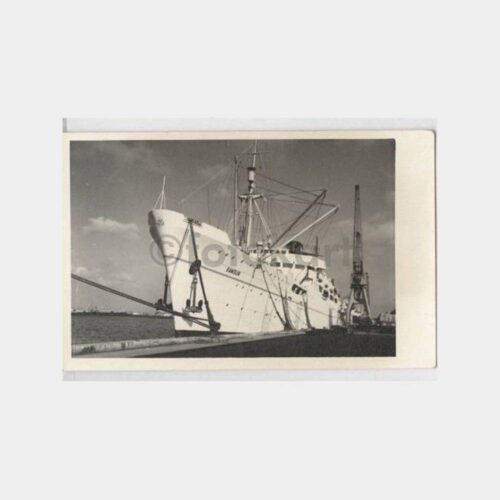 Samsun Gemisi Görünüş Fotoğraf