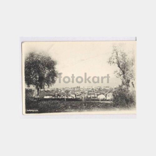 1955 Samsun Genel Görünüş Kartpostal