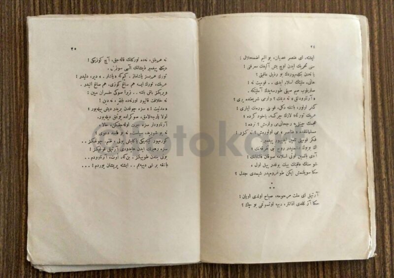 Safahat Hakkın Sesleri - Mehmed Akif - Görsel 2