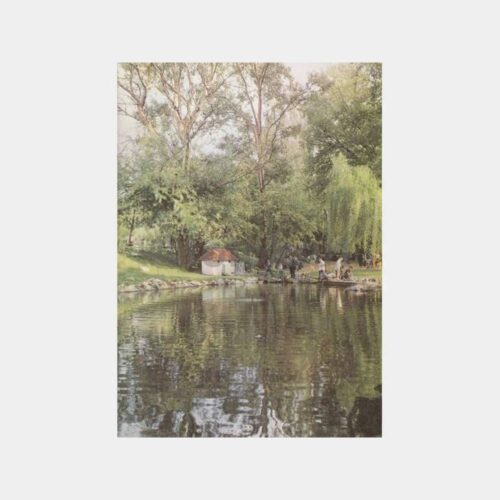 Ankara Kuğulu Park Güneş Sigorta Tebrik Kartı