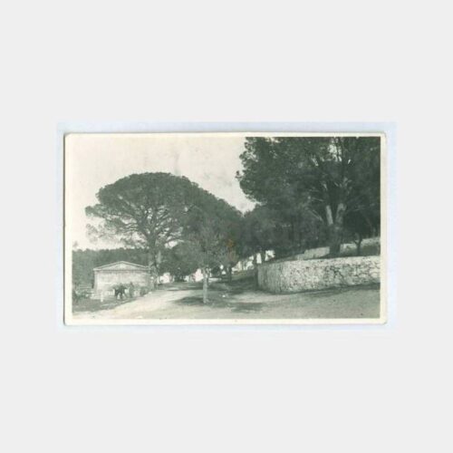 1940 Ayvalık Çamlık Görünüşü Fotokart