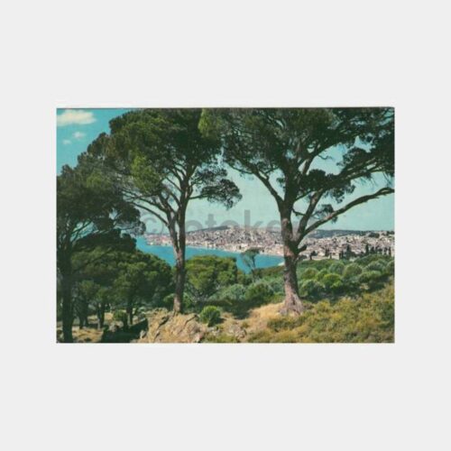 1970 Ayvalık Görünüş Kartpostal