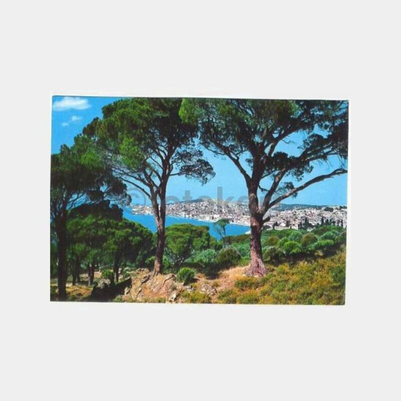 Ayvalık Genel Görünüş Kartpostal