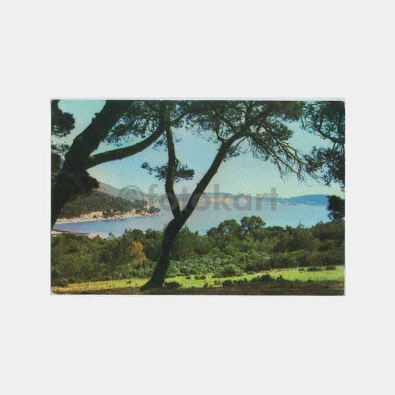 Ayvalık Sahili Görünüş Kartpostal