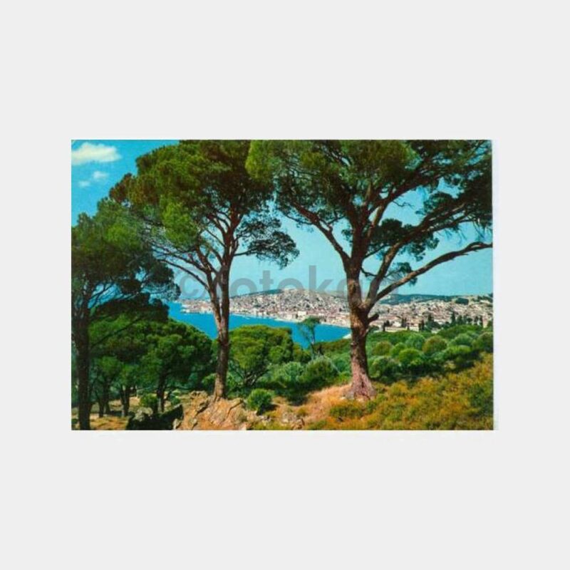 1970 Ayvalık Genel Görünüş Kartpostal