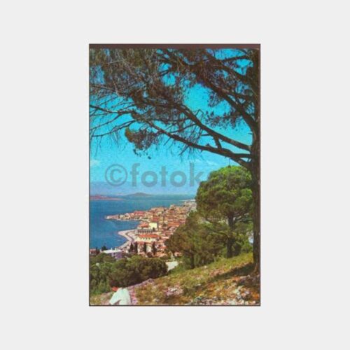 1970 Ayvalık Genel Görünüş Kartpostal