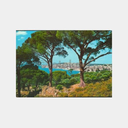 1970 Ayvalık Genel Görünüş Kartpostal