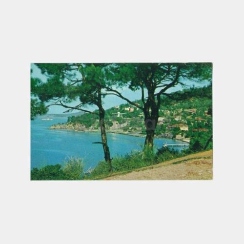 1968 Büyükada Görünüş Kartpostal