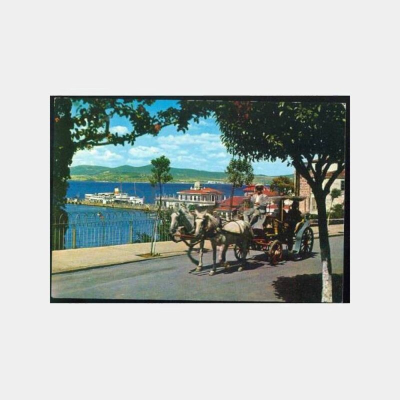 1960 Büyükada Faytonlar Görünüş Kartpostal
