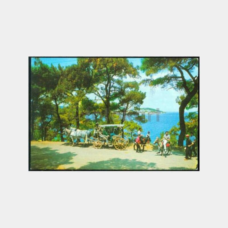 1970 Büyükada Faytonlar Görünüş Kartpostal