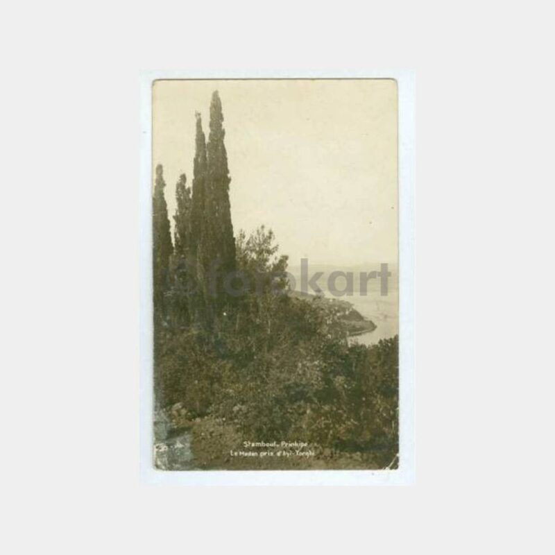 1930 Büyükada Maden Ayayorgi Görünüş Kartpostal