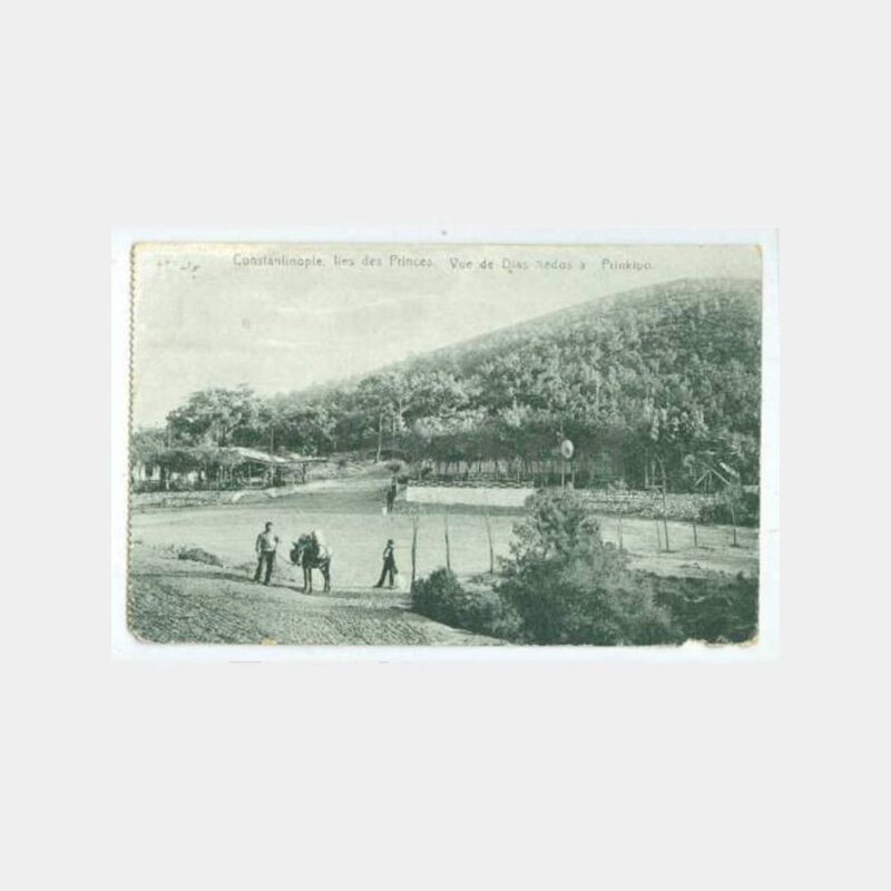 1923 Büyükada Dias Kedos Görünüş Editör MJC Kartpostal