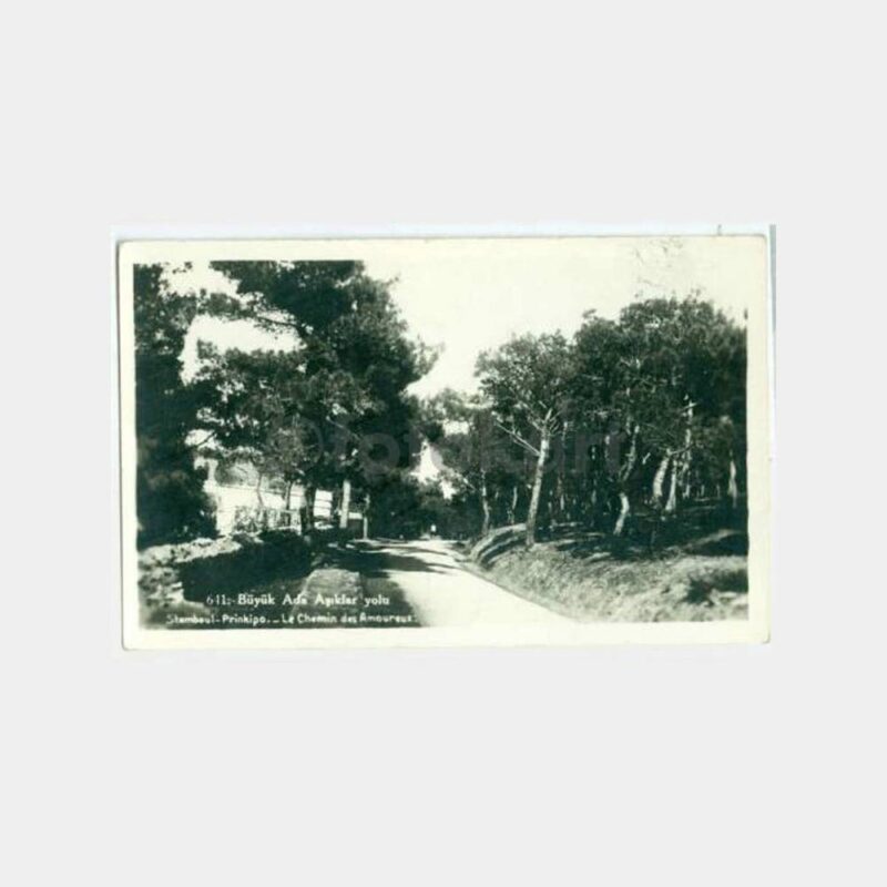 1935 Büyükada Aşıklar Yolu Görünüş Kartpostal