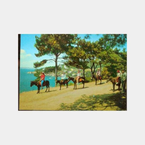 1973 Büyükada Eşekli Gezi Görünüş Kartpostal