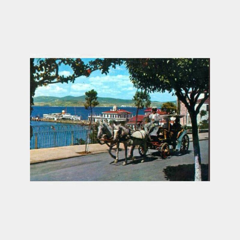1968 Büyükada Fayton Görünüş Kartpostal
