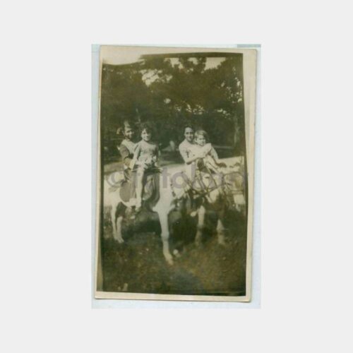 1930 Büyükada Eşekli Gezi Görünüş Fotoğraf