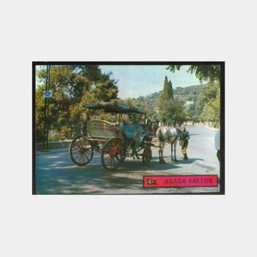 1974 Büyükada Fayton Görünüş Kartpostal