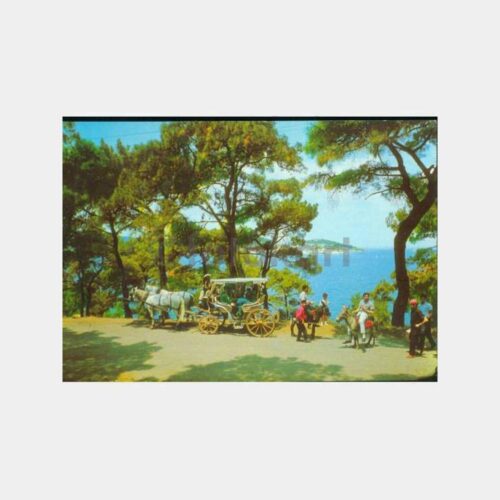 1970 Büyükada Fayton Görünüş Kartpostal