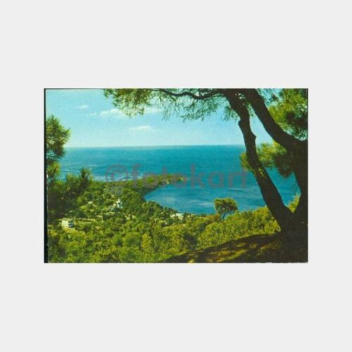 1970 Büyükada Dilburnu Görünüş Kartpostal