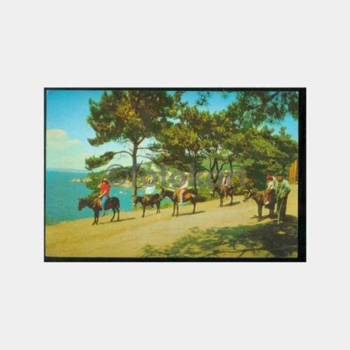 1930 Büyükada Gezisi Baylar Fotoğraf