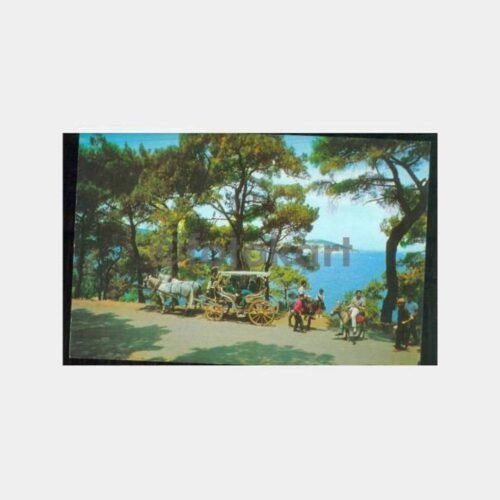 1968 Büyükada Eşekli Gezi Konulu Kartpostal
