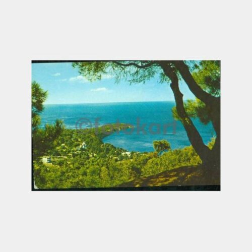 1910 Büyükada Nizam Konulu Kartpostal