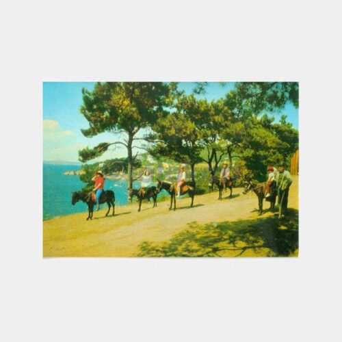 1968 Büyükada Eşekli Gezi Görünüş Kartpostal
