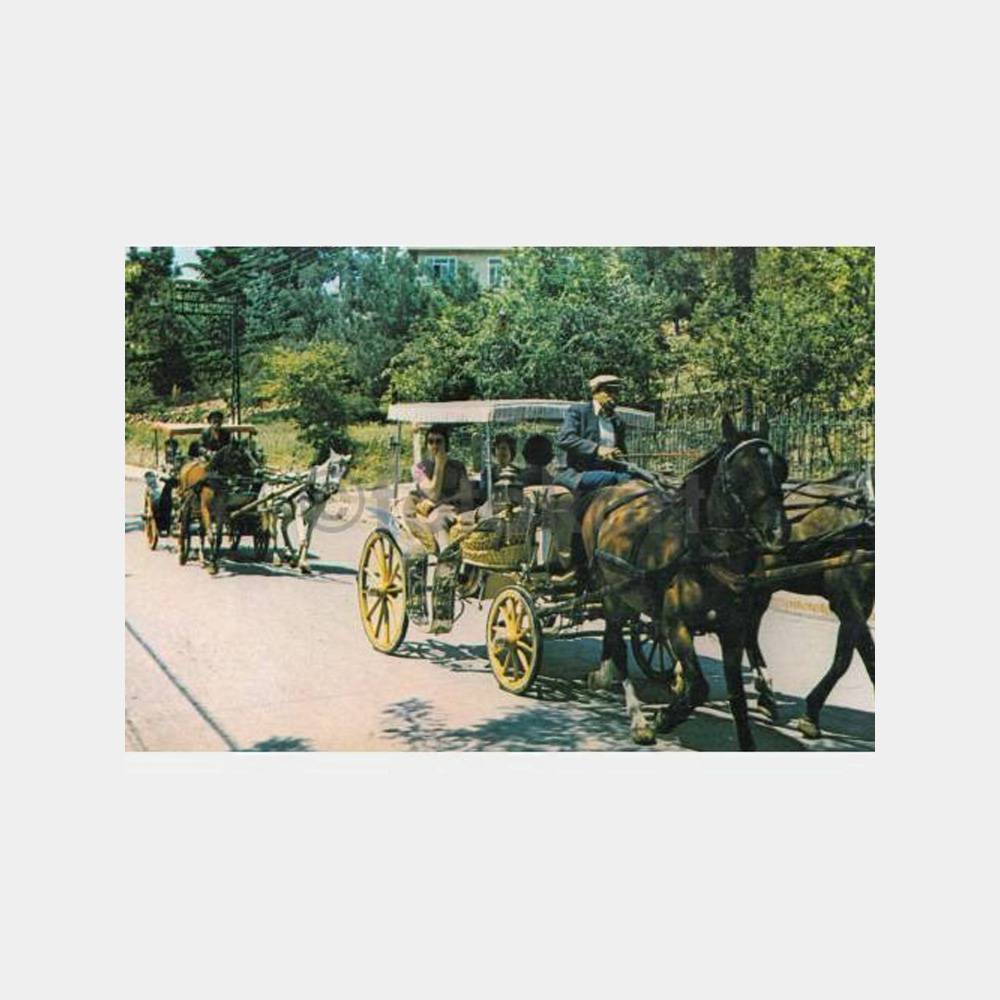 1975 Büyükada Fayton Konulu Kartpostal