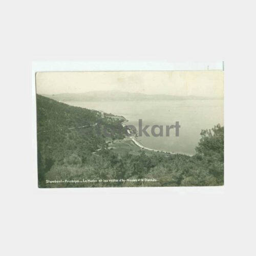 1934 Büyükada Maden Yolu Görünüş Kartpostal