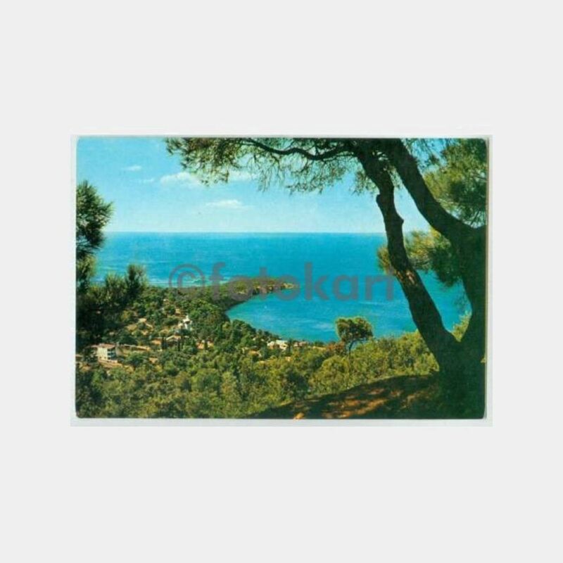 1974 Büyükada Dilburnu Mevkii Görünüş Kartpostal