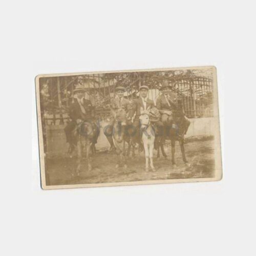 Büyükada Eşekli Gezi Konulu Fotoğraf