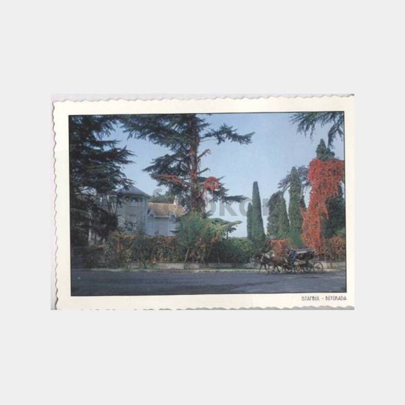 Büyükada Tarihi Ev ve Fayton Görünüş Kartpostal