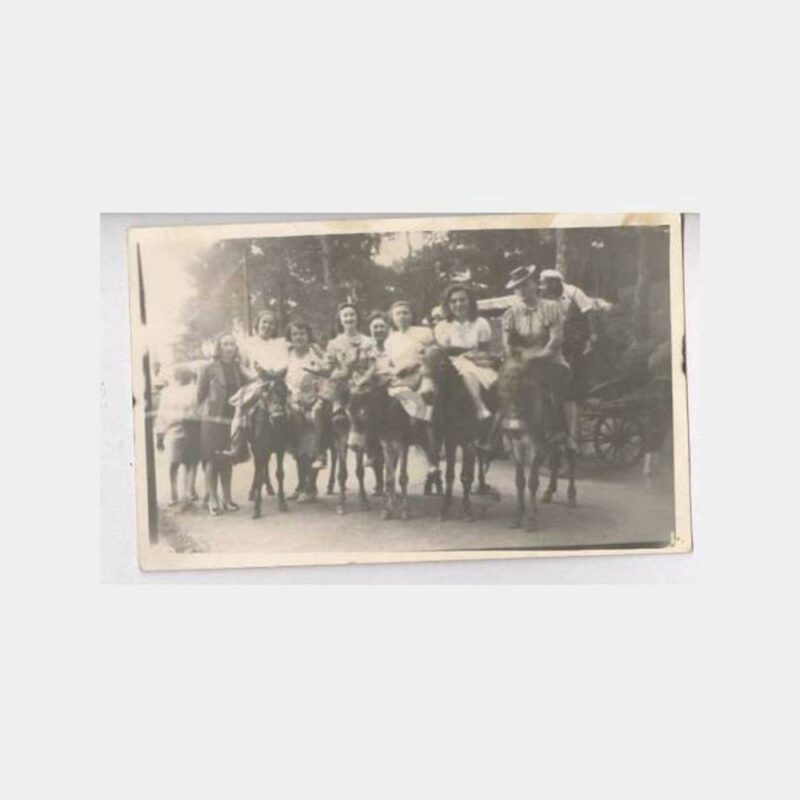 Büyükada Eşekli Gezi Görünüş Fotoğraf