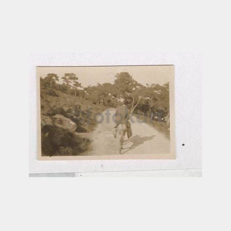 Büyükada Eşekli Gezi Görünüş Fotoğraf