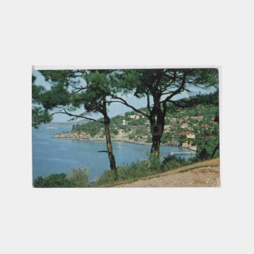 1967 İstanbul Büyükada Görünüş Kartpostal