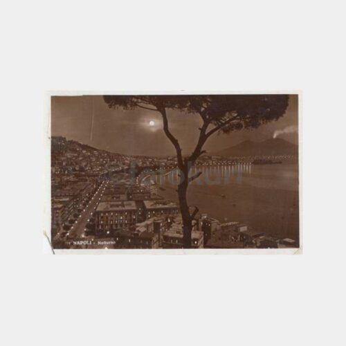 1938 Çanakkale Zeytin Mütehassısı Napoli Kartpostal