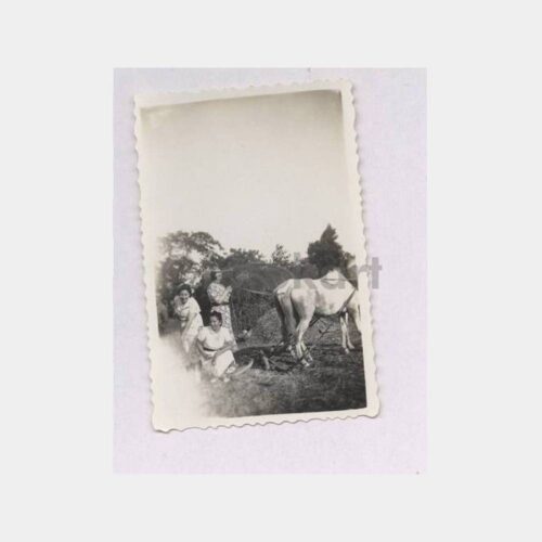 Bir Harman Yeri ve Kadınlar Konulu Fotoğraf