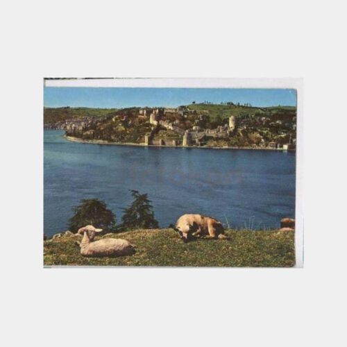 İstanbul Boğaziçi Rumelihisarı Genel Görünüş Kartpostal