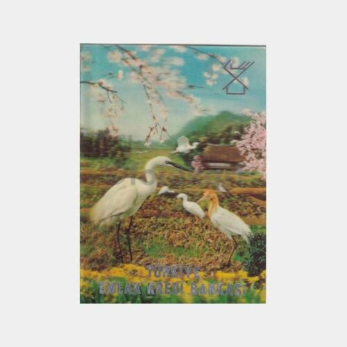 1968 T. Emlak Bankası 3 Boyutlu Leylekli Tebrik Kartı