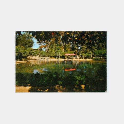 1968 Tarsus Parkı Görünüşü Kartpostal